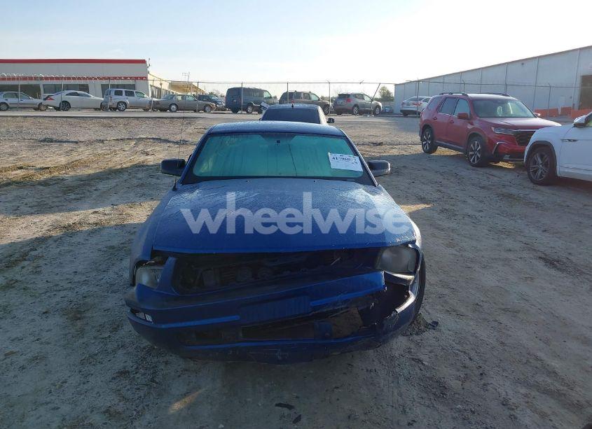 Photo 12 of 2008 Ford Mustang V6 DELUXE/V6 PREMIUM (VIN 1ZVHT80N085129002)