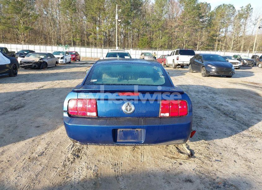 Photo 16 of 2008 Ford Mustang V6 DELUXE/V6 PREMIUM (VIN 1ZVHT80N085129002)