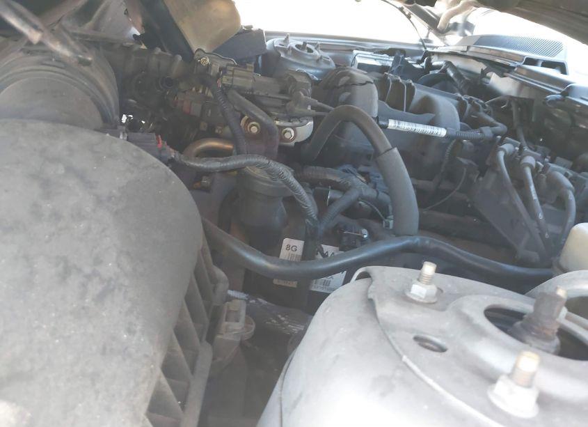 Photo 10 of 2008 Ford Mustang V6 DELUXE/V6 PREMIUM (VIN 1ZVHT80N085129243)