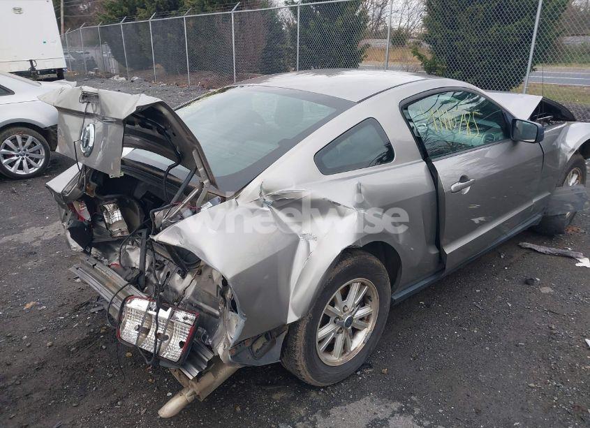 Photo 4 of 2008 Ford Mustang V6 PREMIUM (VIN 1ZVHT80N085133020)