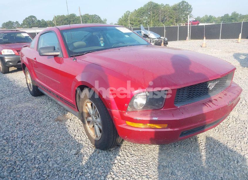2008 Ford Mustang V6 DELUXE/V6 PREMIUM (VIN 1ZVHT80N085207259) main photo