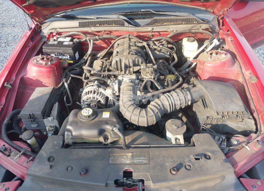 Photo 10 of 2008 Ford Mustang V6 DELUXE/V6 PREMIUM (VIN 1ZVHT80N085207259)