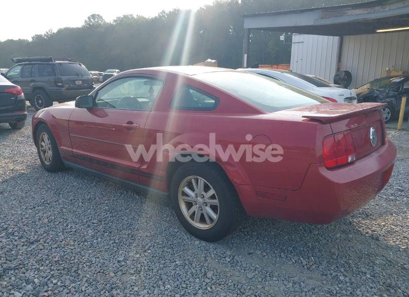Photo 3 of 2008 Ford Mustang V6 DELUXE/V6 PREMIUM (VIN 1ZVHT80N085207259)