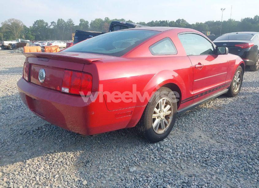Photo 4 of 2008 Ford Mustang V6 DELUXE/V6 PREMIUM (VIN 1ZVHT80N085207259)