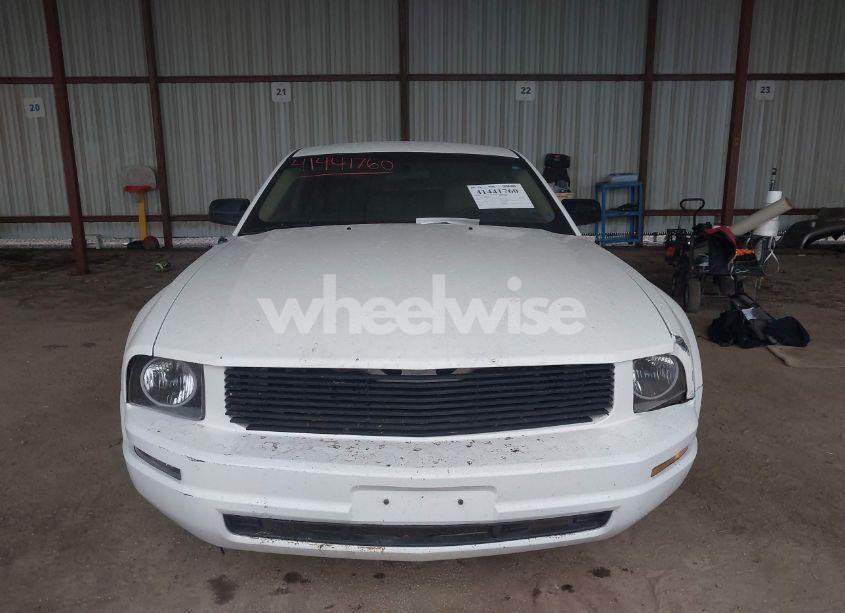 Photo 12 of 2009 Ford Mustang V6/V6 PREMIUM (VIN 1ZVHT80N095117420)