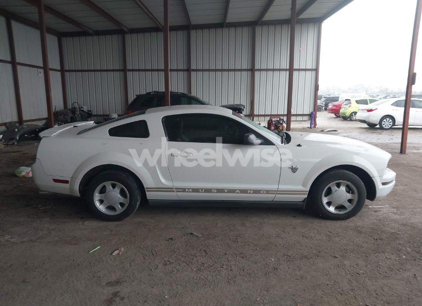 Photo 13 of 2009 Ford Mustang V6/V6 PREMIUM (VIN 1ZVHT80N095117420)