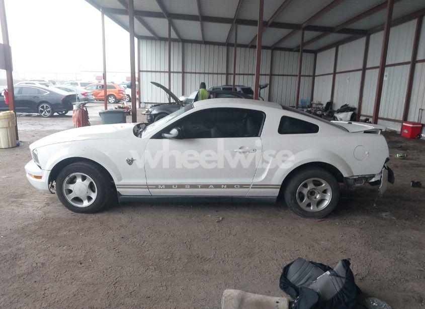 Photo 14 of 2009 Ford Mustang V6/V6 PREMIUM (VIN 1ZVHT80N095117420)