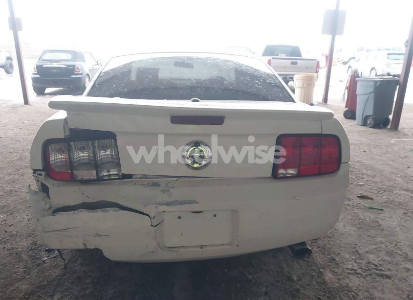 Photo 16 of 2009 Ford Mustang V6/V6 PREMIUM (VIN 1ZVHT80N095117420)