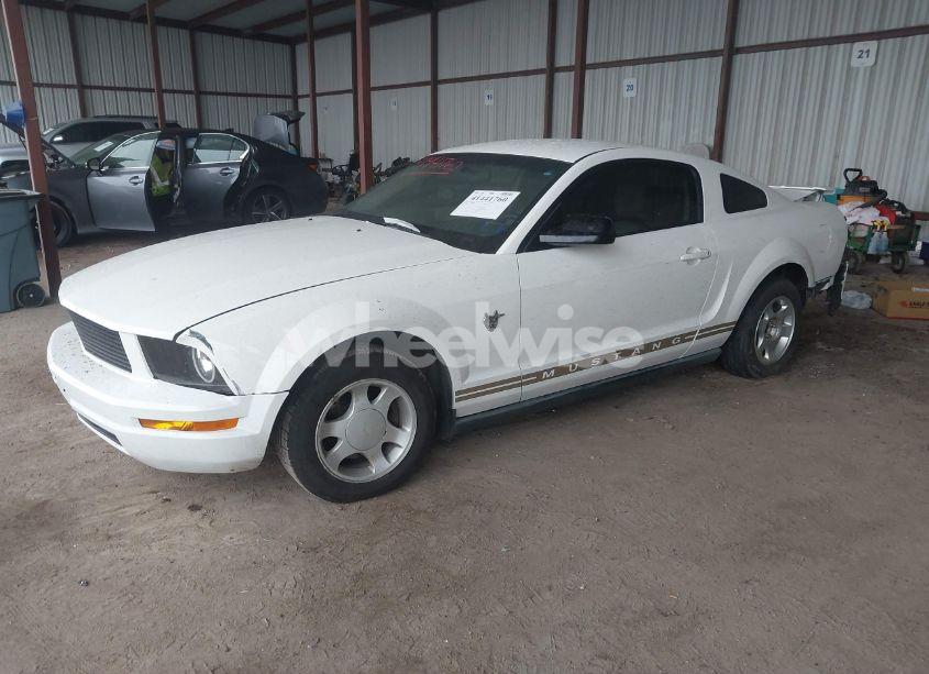 Photo 2 of 2009 Ford Mustang V6/V6 PREMIUM (VIN 1ZVHT80N095117420)