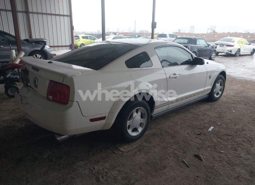Photo 4 of 2009 Ford Mustang V6/V6 PREMIUM (VIN 1ZVHT80N095117420)