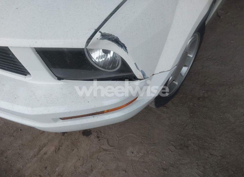 Photo 6 of 2009 Ford Mustang V6/V6 PREMIUM (VIN 1ZVHT80N095117420)