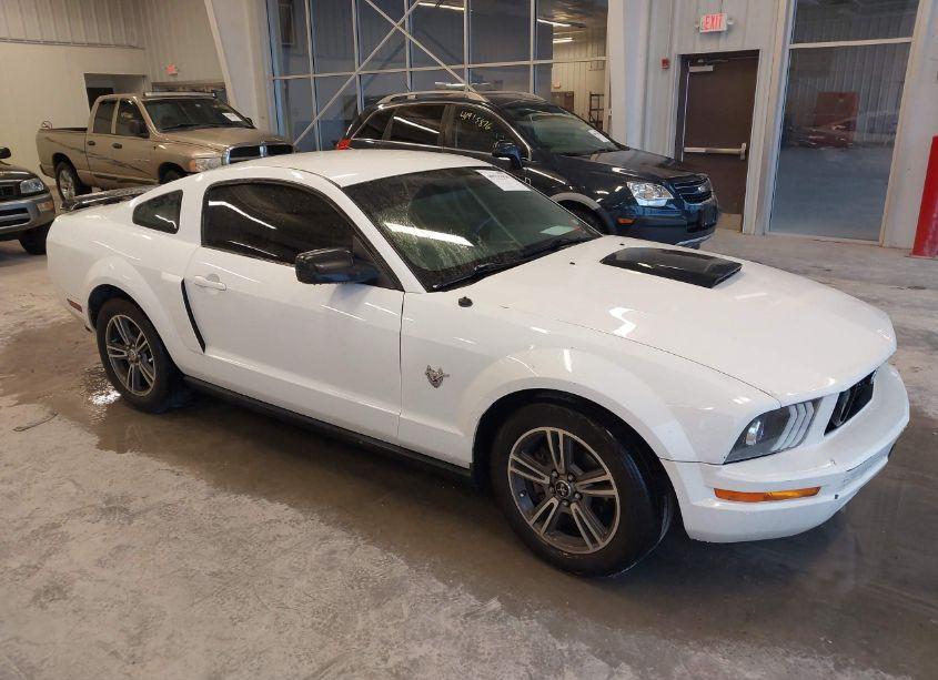 2009 Ford Mustang V6/V6 PREMIUM (VIN 1ZVHT80N095128434) main photo