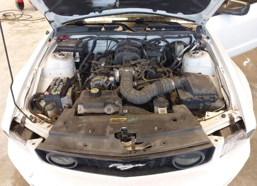 Photo 10 of 2009 Ford Mustang V6/V6 PREMIUM (VIN 1ZVHT80N095128434)