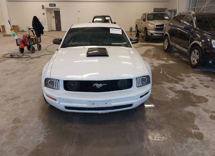 Photo 12 of 2009 Ford Mustang V6/V6 PREMIUM (VIN 1ZVHT80N095128434)