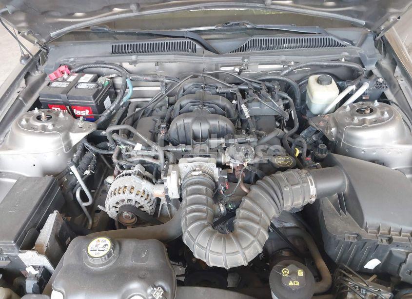Photo 10 of 2005 Ford Mustang V6 DELUXE/V6 PREMIUM (VIN 1ZVHT80N155259379)