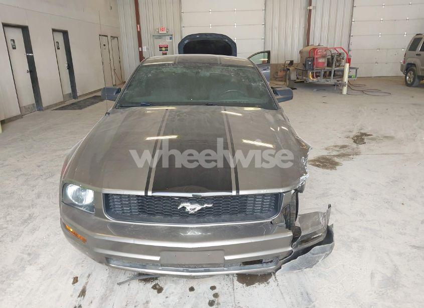Photo 12 of 2005 Ford Mustang V6 DELUXE/V6 PREMIUM (VIN 1ZVHT80N155259379)