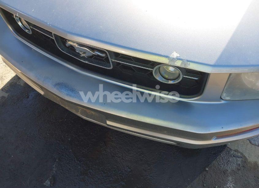 Photo 6 of 2008 Ford Mustang V6 DELUXE/V6 PREMIUM (VIN 1ZVHT80N185109924)