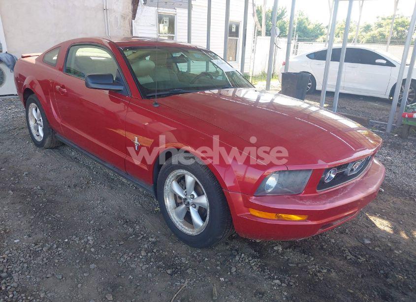 2008 Ford Mustang V6 DELUXE/V6 PREMIUM (VIN 1ZVHT80N185124424) main photo