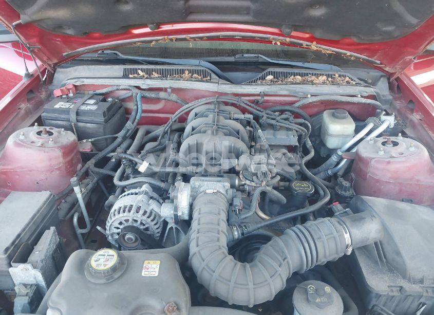 Photo 10 of 2008 Ford Mustang V6 DELUXE/V6 PREMIUM (VIN 1ZVHT80N185124424)