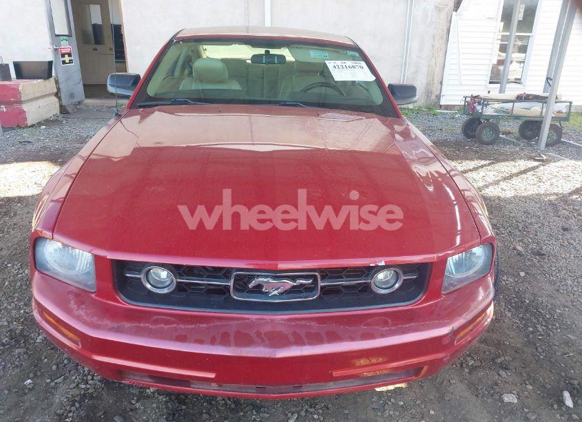 Photo 12 of 2008 Ford Mustang V6 DELUXE/V6 PREMIUM (VIN 1ZVHT80N185124424)