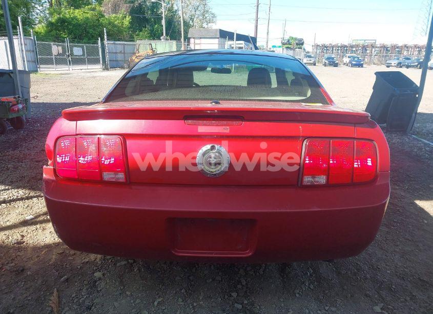 Photo 16 of 2008 Ford Mustang V6 DELUXE/V6 PREMIUM (VIN 1ZVHT80N185124424)