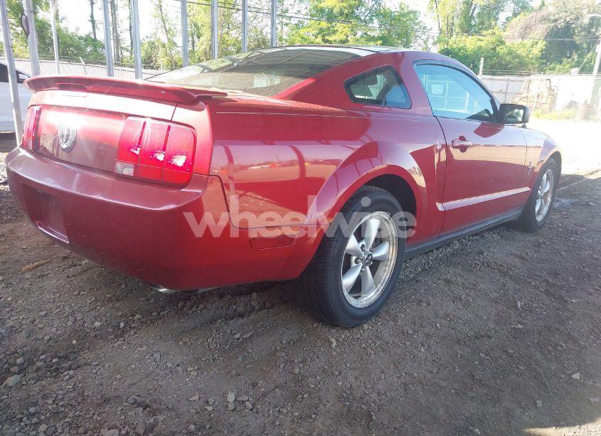 Photo 4 of 2008 Ford Mustang V6 DELUXE/V6 PREMIUM (VIN 1ZVHT80N185124424)