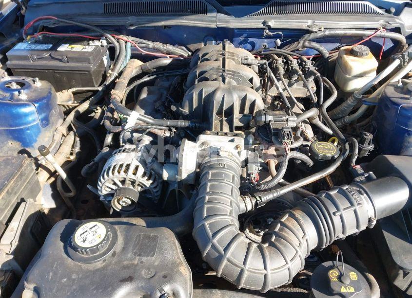 Photo 9 of 2008 Ford Mustang V6 DELUXE/V6 PREMIUM (VIN 1ZVHT80N185129865)