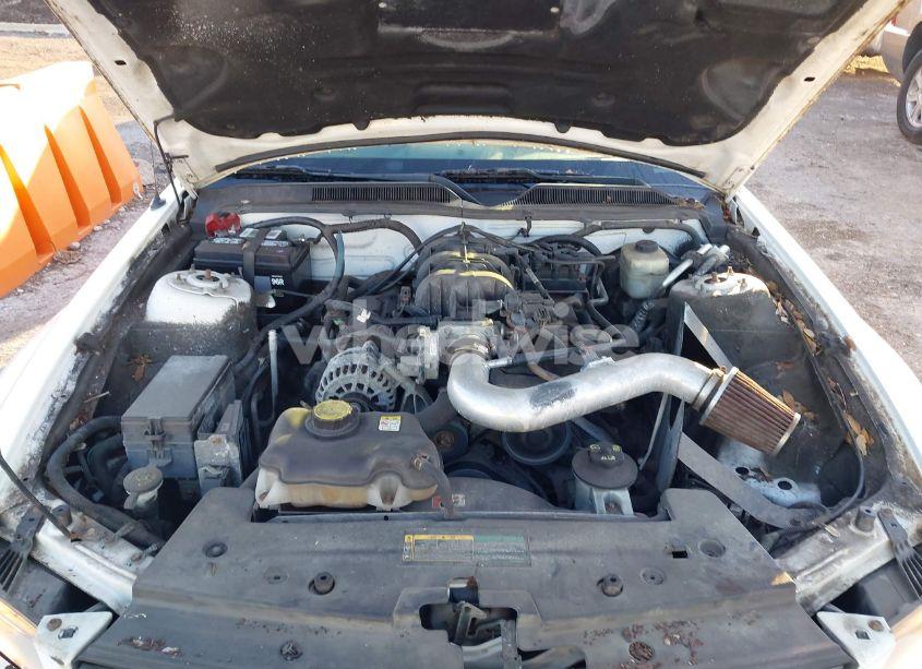 Photo 10 of 2008 Ford Mustang V6 DELUXE/V6 PREMIUM (VIN 1ZVHT80N185201325)