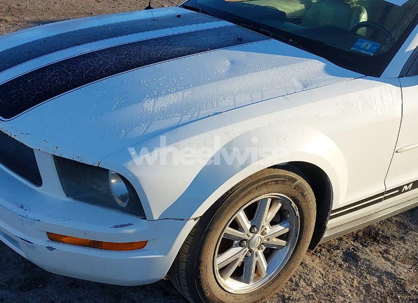 Photo 12 of 2008 Ford Mustang V6 DELUXE/V6 PREMIUM (VIN 1ZVHT80N185201325)