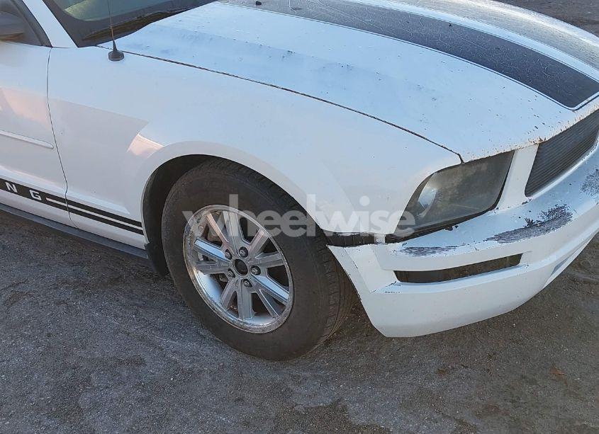 Photo 13 of 2008 Ford Mustang V6 DELUXE/V6 PREMIUM (VIN 1ZVHT80N185201325)