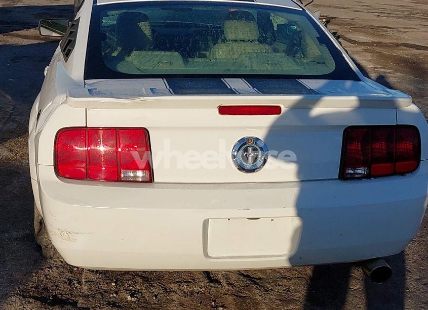 Photo 14 of 2008 Ford Mustang V6 DELUXE/V6 PREMIUM (VIN 1ZVHT80N185201325)