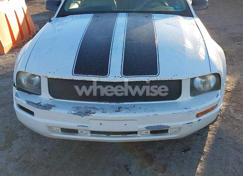 Photo 6 of 2008 Ford Mustang V6 DELUXE/V6 PREMIUM (VIN 1ZVHT80N185201325)