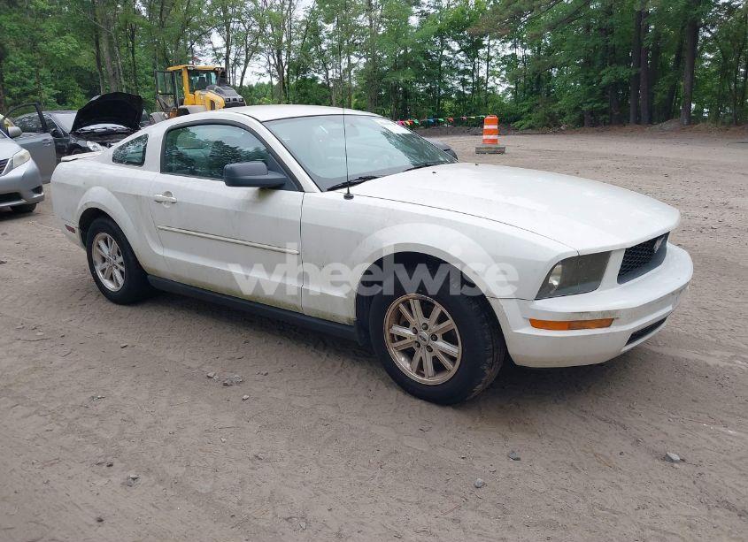 2008 Ford Mustang V6 DELUXE/V6 PREMIUM (VIN 1ZVHT80N185208081) main photo