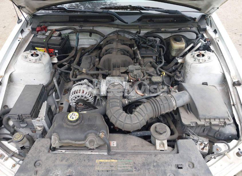 Photo 10 of 2008 Ford Mustang V6 DELUXE/V6 PREMIUM (VIN 1ZVHT80N185208081)