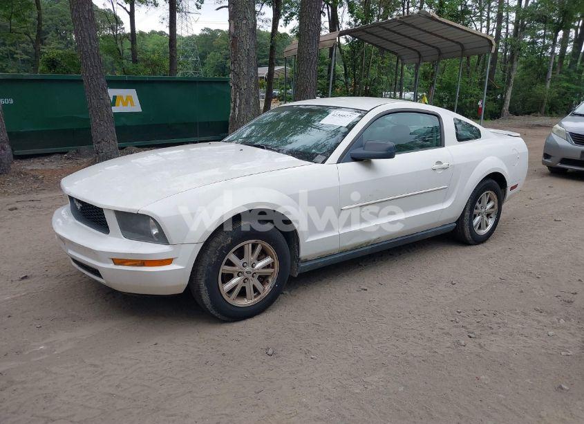 Photo 2 of 2008 Ford Mustang V6 DELUXE/V6 PREMIUM (VIN 1ZVHT80N185208081)