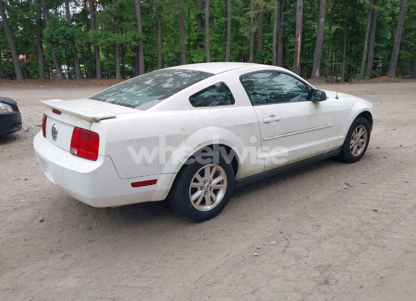 Photo 4 of 2008 Ford Mustang V6 DELUXE/V6 PREMIUM (VIN 1ZVHT80N185208081)