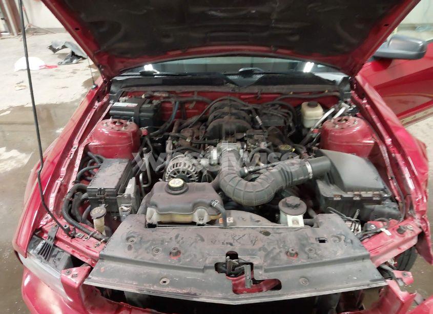 Photo 10 of 2008 Ford Mustang V6 DELUXE (VIN 1ZVHT80N185208839)