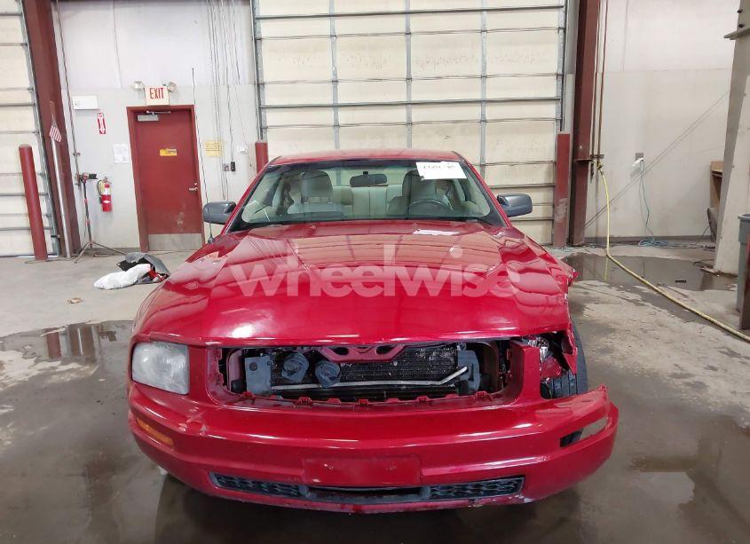 Photo 13 of 2008 Ford Mustang V6 DELUXE (VIN 1ZVHT80N185208839)