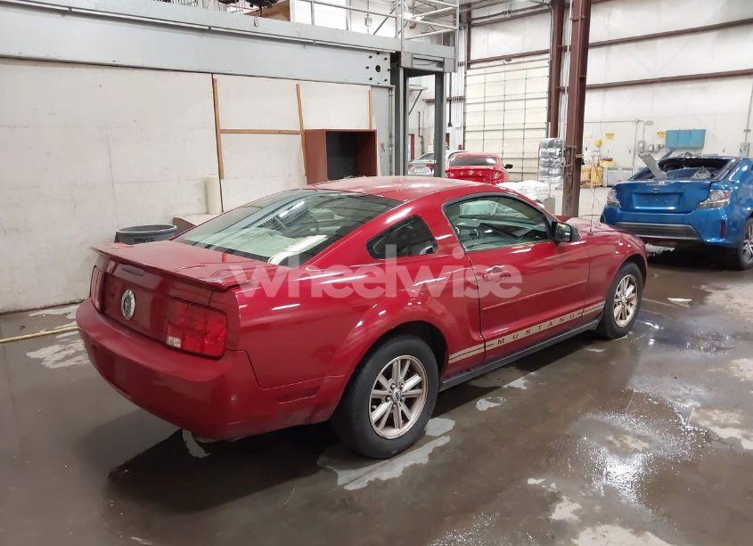 Photo 4 of 2008 Ford Mustang V6 DELUXE (VIN 1ZVHT80N185208839)