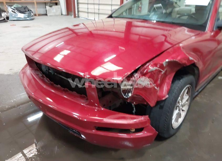 Photo 6 of 2008 Ford Mustang V6 DELUXE (VIN 1ZVHT80N185208839)