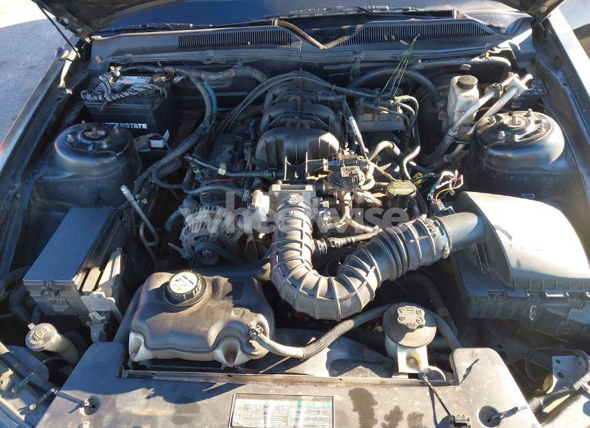 Photo 10 of 2009 Ford Mustang V6/V6 PREMIUM (VIN 1ZVHT80N195141757)