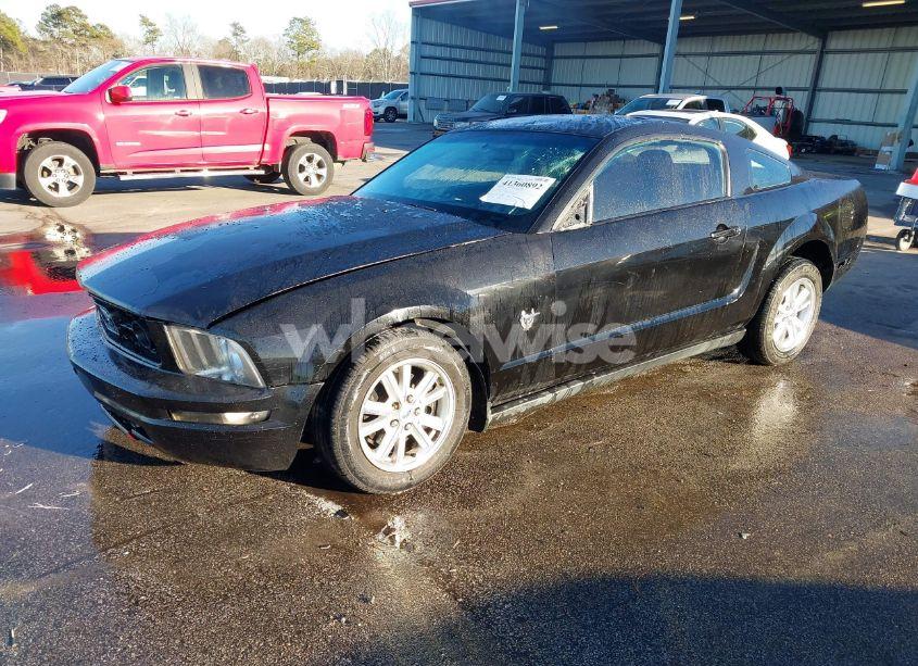 Photo 2 of 2009 Ford Mustang V6/V6 PREMIUM (VIN 1ZVHT80N195141757)
