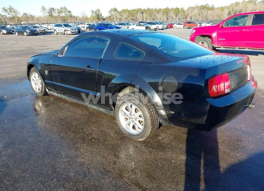 Photo 3 of 2009 Ford Mustang V6/V6 PREMIUM (VIN 1ZVHT80N195141757)