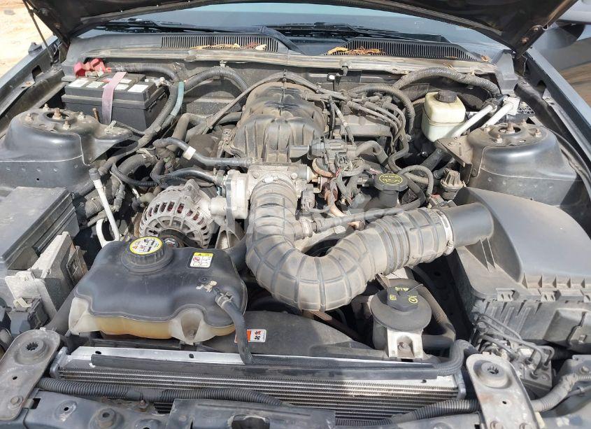 Photo 10 of 2006 Ford Mustang V6 (VIN 1ZVHT80N265139074)
