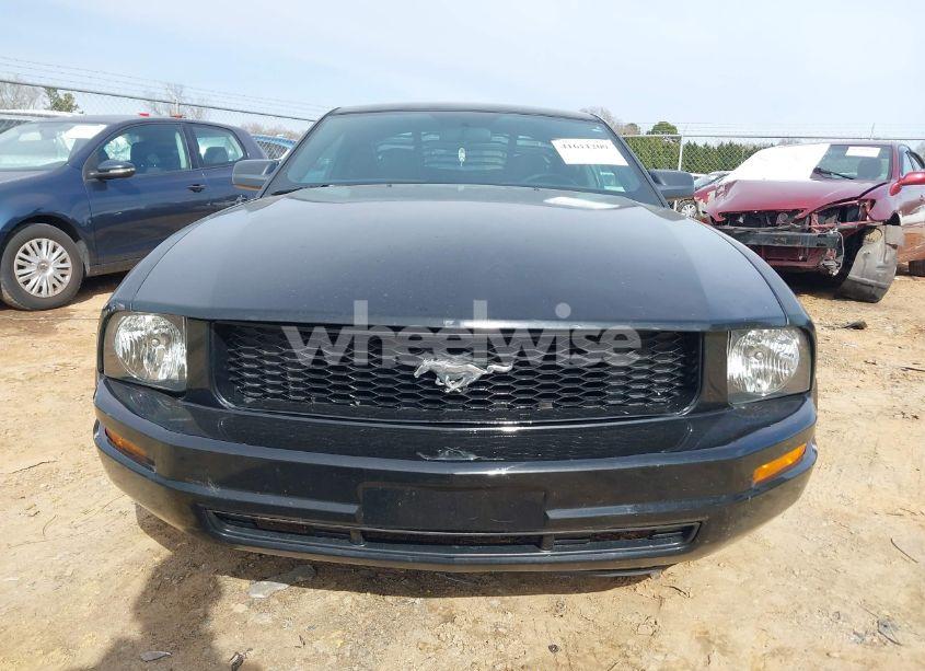 Photo 12 of 2006 Ford Mustang V6 (VIN 1ZVHT80N265139074)