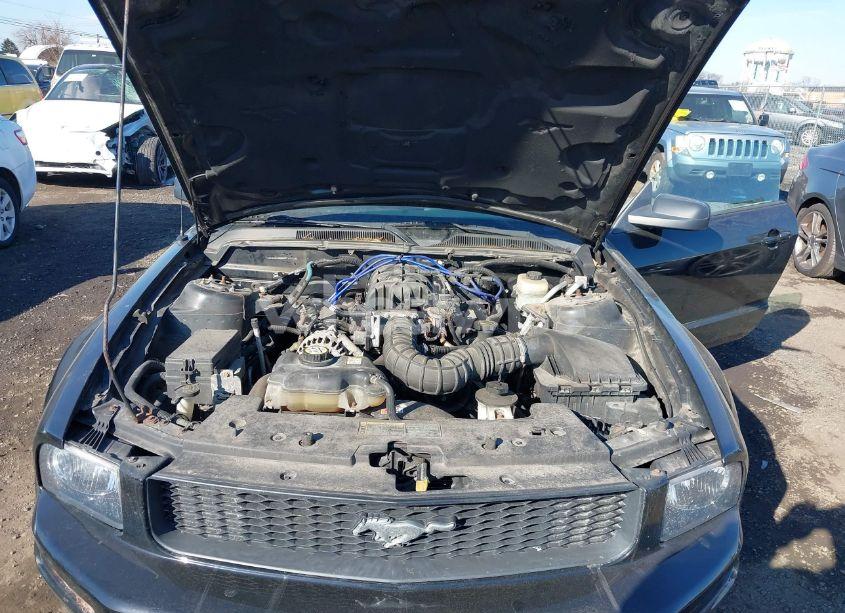 Photo 10 of 2006 Ford Mustang V6 (VIN 1ZVHT80N265141245)