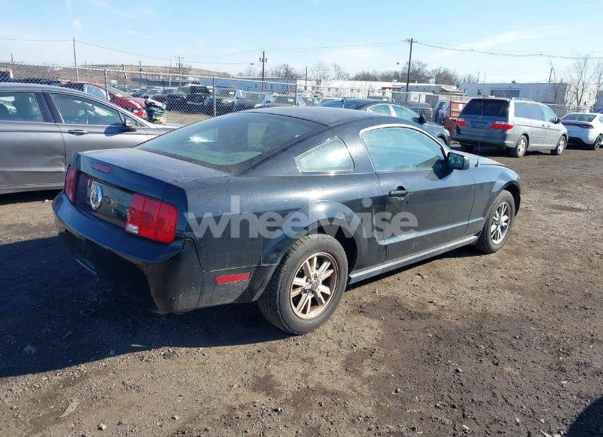 Photo 4 of 2006 Ford Mustang V6 (VIN 1ZVHT80N265141245)