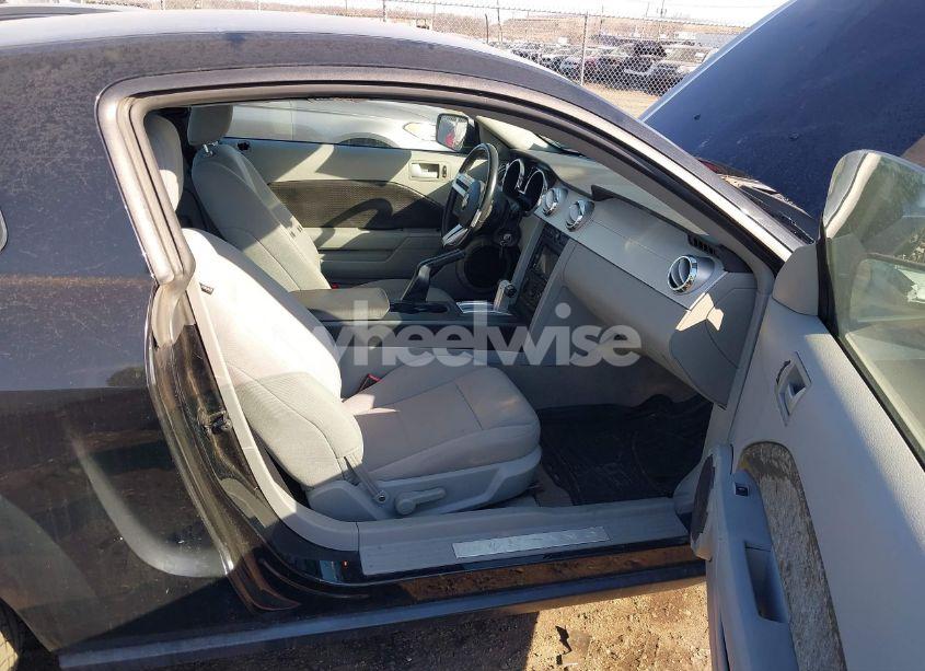 Photo 5 of 2006 Ford Mustang V6 (VIN 1ZVHT80N265141245)