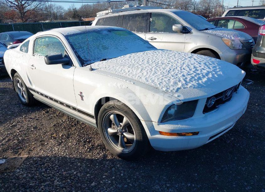 2006 Ford Mustang V6 (VIN 1ZVHT80N265180594) main photo