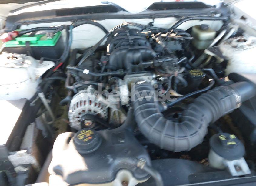 Photo 10 of 2006 Ford Mustang V6 (VIN 1ZVHT80N265180594)